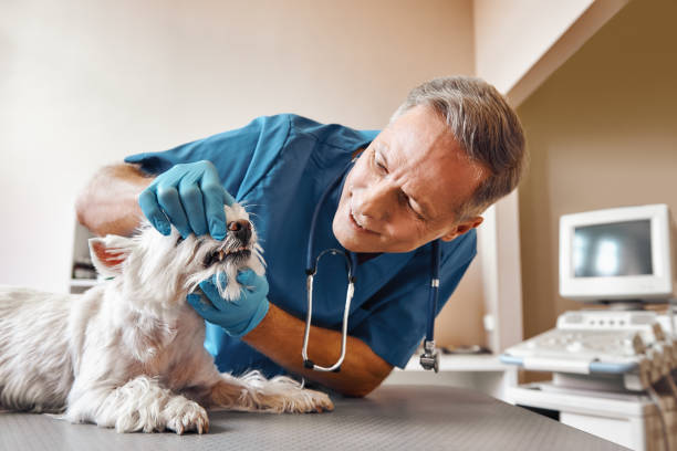 Best Same-Day Emergency Dental Services in Barstow, CA